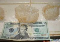 中美洲海蜇[供应]_中美洲海蜇价格_中美洲海蜇厂家_世界工厂网产品信息库