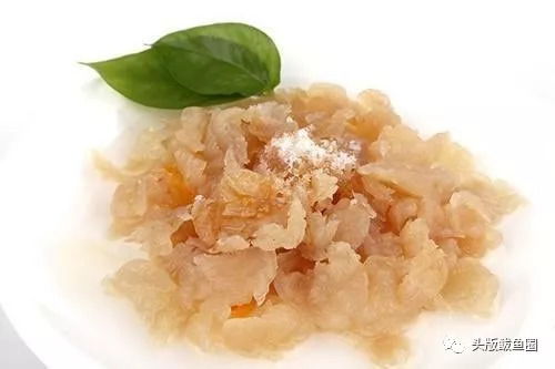 定了 2018中国 营口海蜇节新闻发布会召开,萌萌哒吉祥物首次亮相