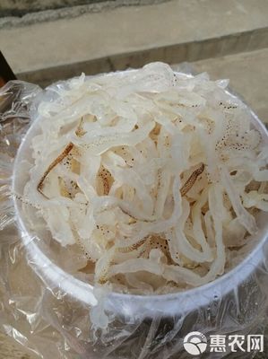 广东海蜇头,白花蜇头,营养丰富,基地直发,大量有货