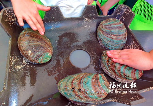 晚报写作训练营走进连江 长乐 福清 闽侯 探秘 海上福州 体验耕海牧渔