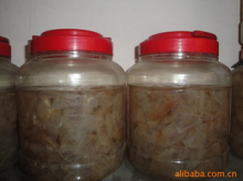 宁德鲜活水产品|宁德鲜活水产品价格|宁德鲜活水产品公司_