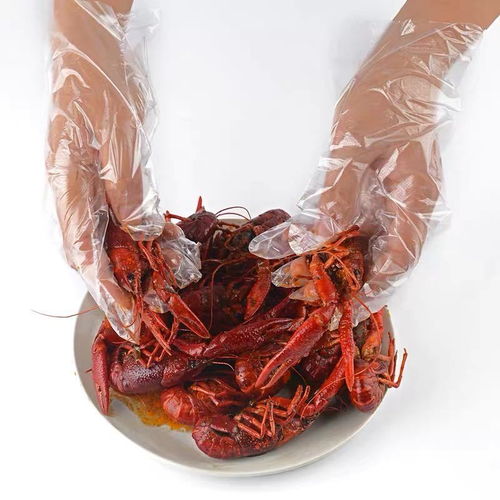 一次性手套加厚餐饮食品家务吃龙虾pe透明塑料厂价直销