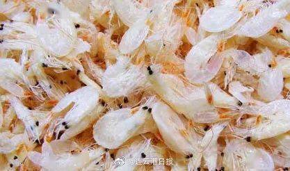 海蜇 毛虾 丁香鱼 口虾蛄 鱿鱼 休渔期间,这些海鲜可以捕捞