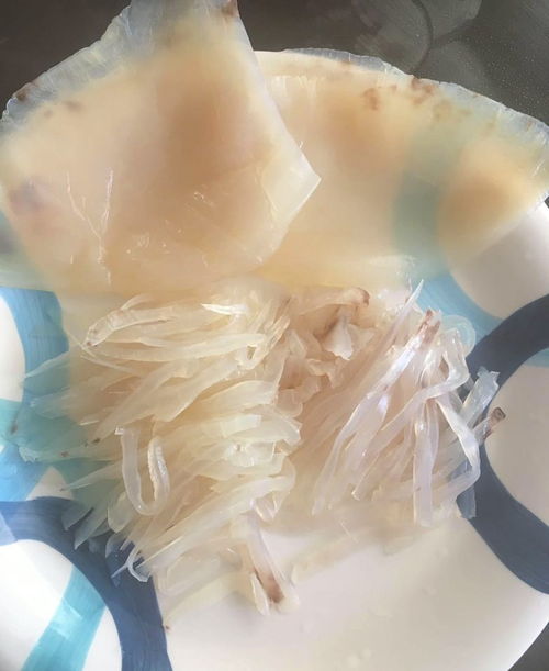 备年货新选择 加勒比海纯野生海蜇，口感鲜美，脆而不硬