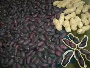 辽宁各市海蜇美食盘点，十一假期不容错过的味蕾盛宴