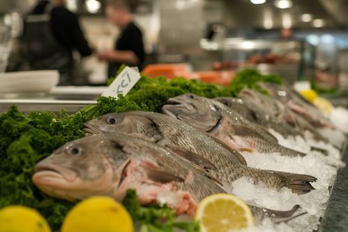 海洋珍品 银鳕鱼与海蜇的食材魅力与摄影艺术