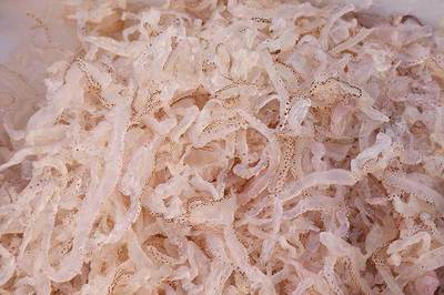 常吃的海鲜(摄影科普-第一部分)