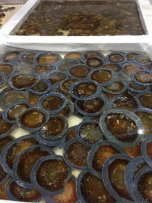 2019中国营口海蜇节盛大开幕 特色产品汇聚，海滨盛宴邀您共赴