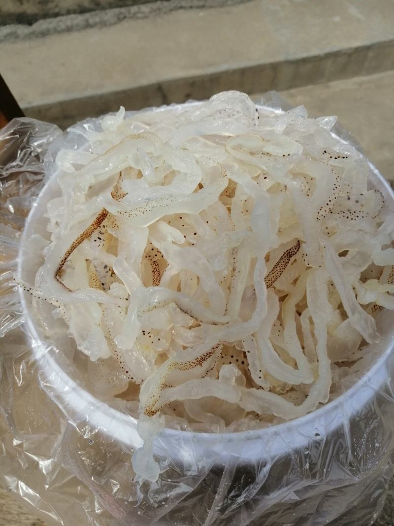 滨州沾化海蜇 海味珍品，品鲜尝脆正当时